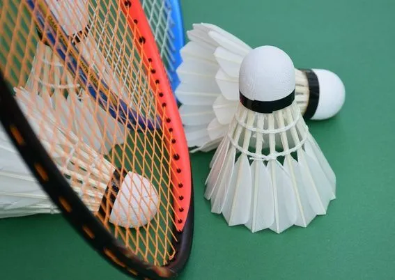 What Are The Different Types Of Shuttlecocks In Badminton And Their Aerodynamics?