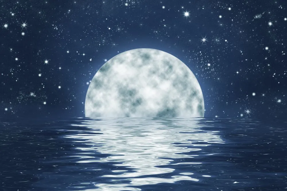 What Have We Left Behind On The Moon?