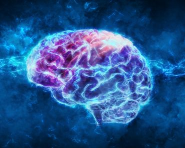 3d rendering of a brain