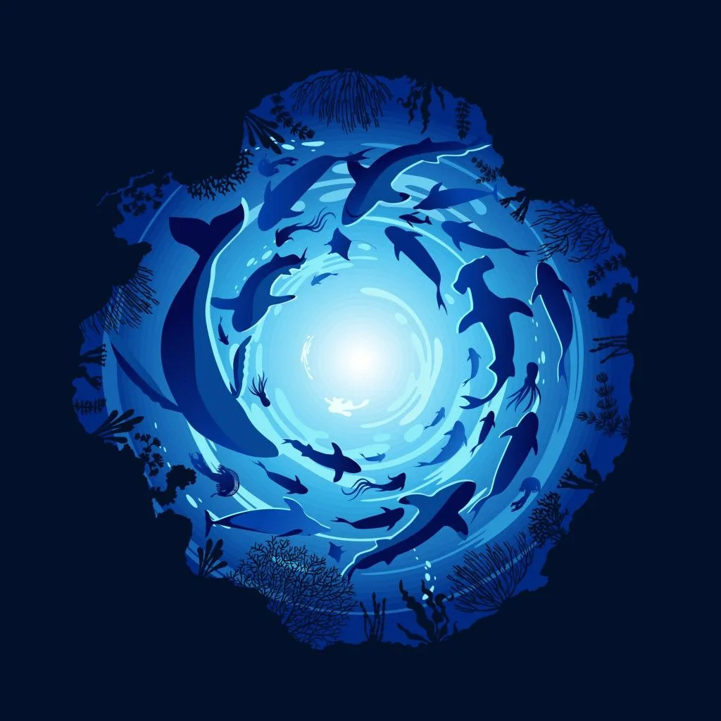 Does The Ocean Floor Have A False Bottom?