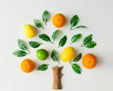 Tree,Made,Of,Citrus,Fruits,,Oranges,,Lemons,,Lime,And,Green