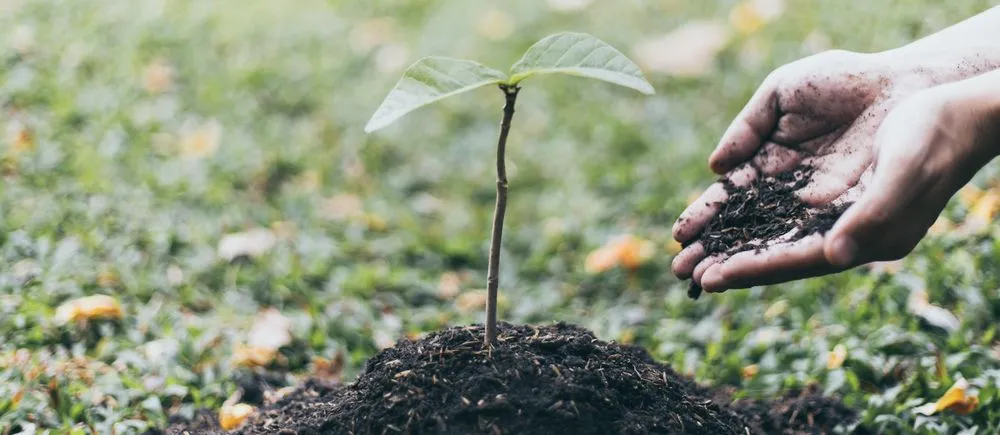 Why Are Biofertilizers Better For The Soil Than Chemical Fertilizers?