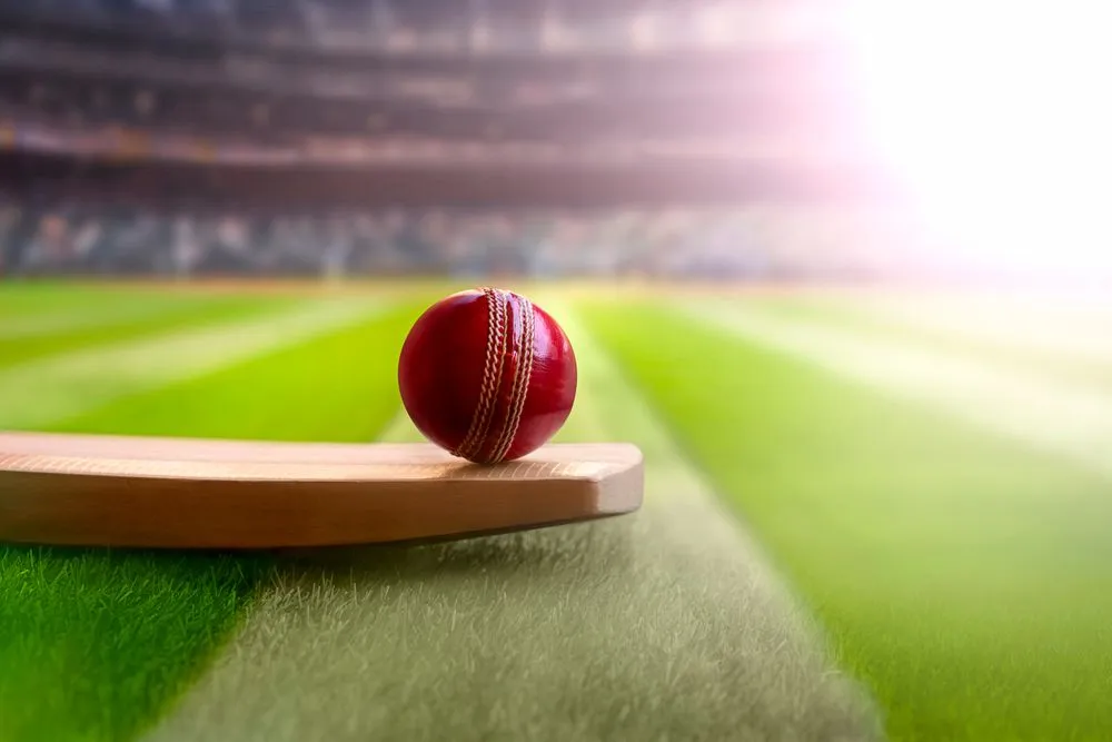 Is It Better To Play With A Heavy Or A Light Cricket Bat?