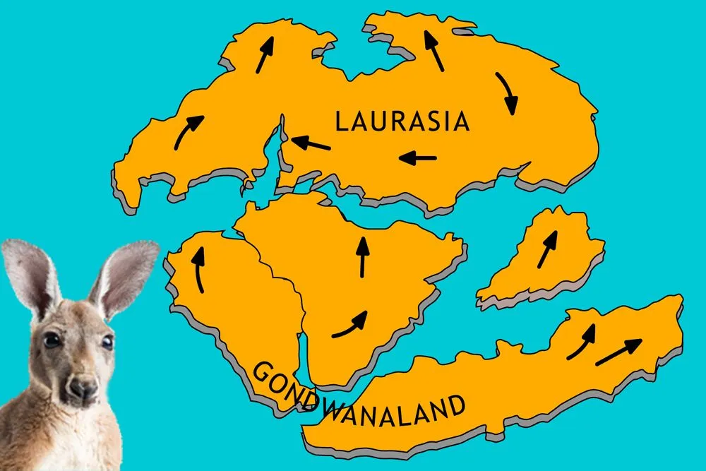 How Did Continental Drift Affect Life On Earth Today?