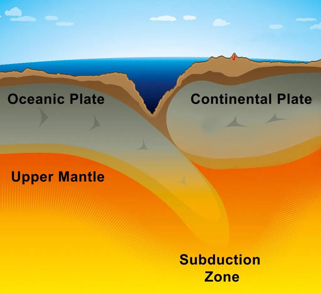 subduction zone near the ocean plate