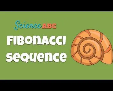 What is the Fibonacci Sequence & the Golden Ratio? Simple Explanation and Examples in Everyday Life