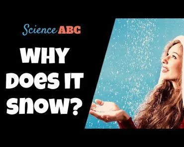 Where Does Snow Come From?