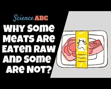 Why Are Some Meats Eaten Raw And Some Are Not?