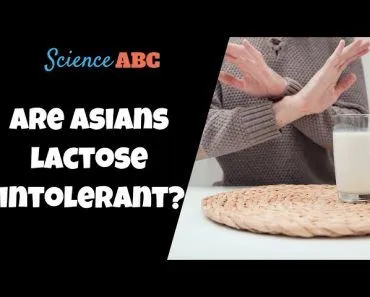 Lactose Intolerance: Why Many Asians Cannot 'Digest' Milk?