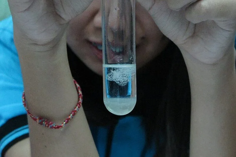 DNA Extraction