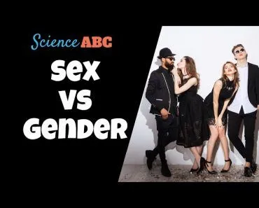 What Is The Difference Between Sex And Gender?