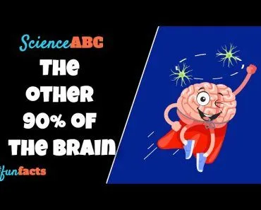 Glial Cells: Definition, Types, Functions of Glial Cells | Role in Psychology