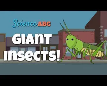 Are Giant Insects Larger Than Humans Possible?