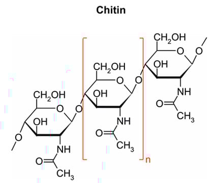 Fungi Strukturformeln Chitin Ergosterol