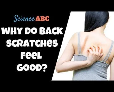 Why Does Scratching Your Back Feel So Satisfying?
