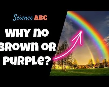Rainbow Colors: Why Don't You See All Colors In The Rainbow?