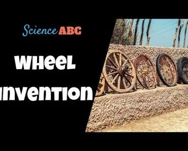 Invention Of Wheel: How Was The Wheel Invented?
