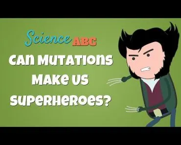What are Mutations and what are the different types of Mutations?