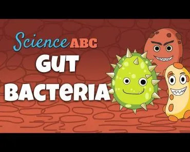 Gut Microbiome Explained in Simple Words