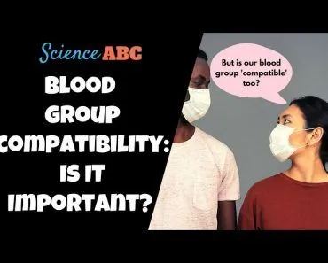 What Happens When You Marry Someone Without Knowing Their Blood Group?