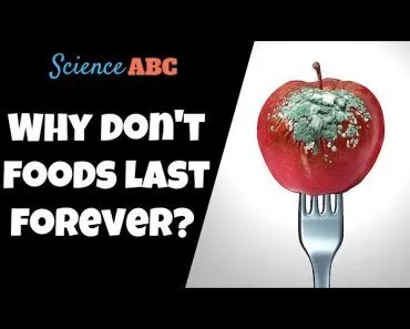 Rancidity: Why Do Foods Turn Rancid?