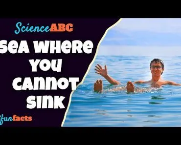 Why Is It Called "Dead" Sea? Why Does Everyone Float In This Sea?