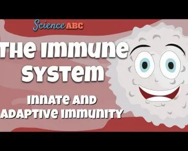 Immune System: Innate and Adaptive Immunity Explained