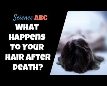 What Happens To Your Hair After You Die?