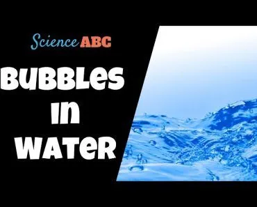 Why Do Bubbles Form In A Glass Of Water?