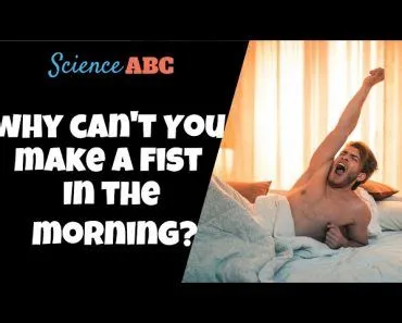 Why Can’t You Clench Your Fist Right After Waking Up?
