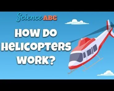 How Does A Helicopter Work: Everything You Need To Know About Helicopters