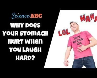 Why Does Your Stomach Hurt When You Laugh Too Much?