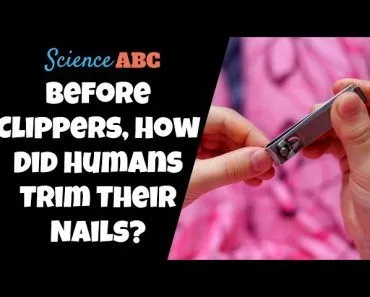 How Did Ancient Humans Cut Their Nails Without Nail Clippers?