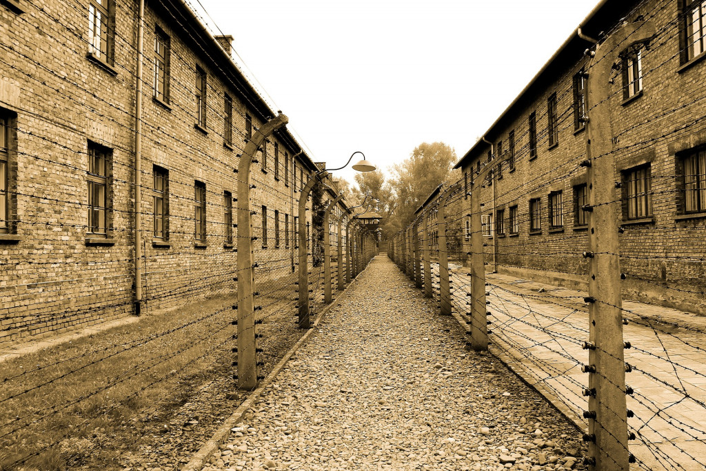 auschwitz-gaac0bcb36_1920