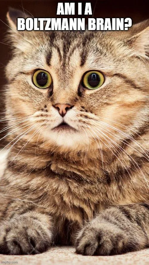 What Is The Boltzmann Brain Paradox?