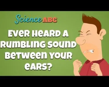 Tensor Tympani Muscle: Why Do You Hear A Rumbling Sound When You Close Your Eyes Too Hard?