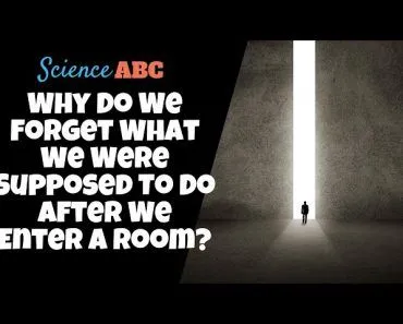 The Doorway Effect: Why Do We Forget What We Were Supposed To Do After We Enter a Room?