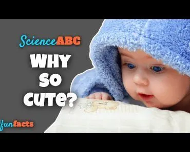 Why Do We Find Babies Cute?