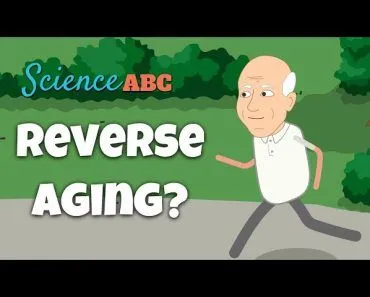 Slowing or Reversing Aging: Can We Live for 180 years?