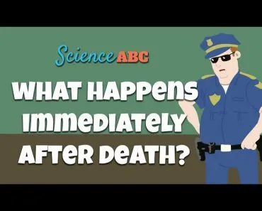 Rigor Mortis, Livor Mortis, Pallor Mortis, Algor Mortis: Forensic Science Explains Stages of Death