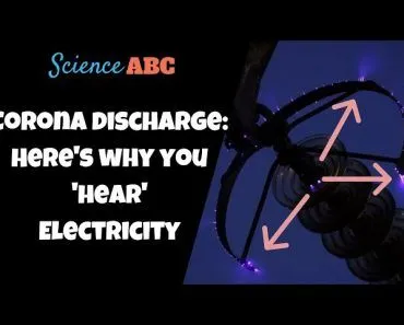 Why Do Power Lines Buzz?