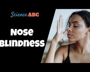 Nose Blindness: Why Can’t You Smell Perfume On Your Body When Everyone Else Can?