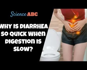Why Does Diarrhea Travel Quickly Through The Body When Digestion Takes So Long?