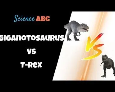 Giganotosaurus vs. T Rex: Who Was The Deadliest Predator?