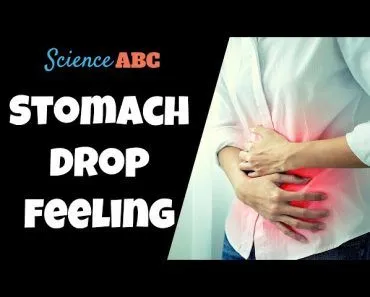 Stomach Drop Feeling: Why Does Your Stomach “Drop” When You’re Anxious?