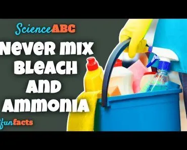 Here's Why You Should NEVER Mix Bleach and Ammonia