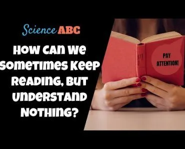 How Can We Sometimes Keep Reading, But Not Understand Anything We Read?