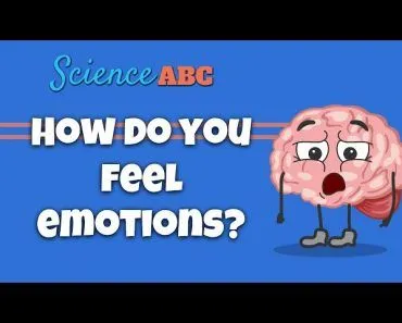 Emotions and the Brain: What is the limbic system?