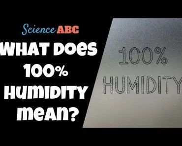 Does "100% Humidity" Mean Air Has Turned to Water?