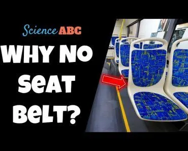 Why Don't Buses Have Seatbelts?